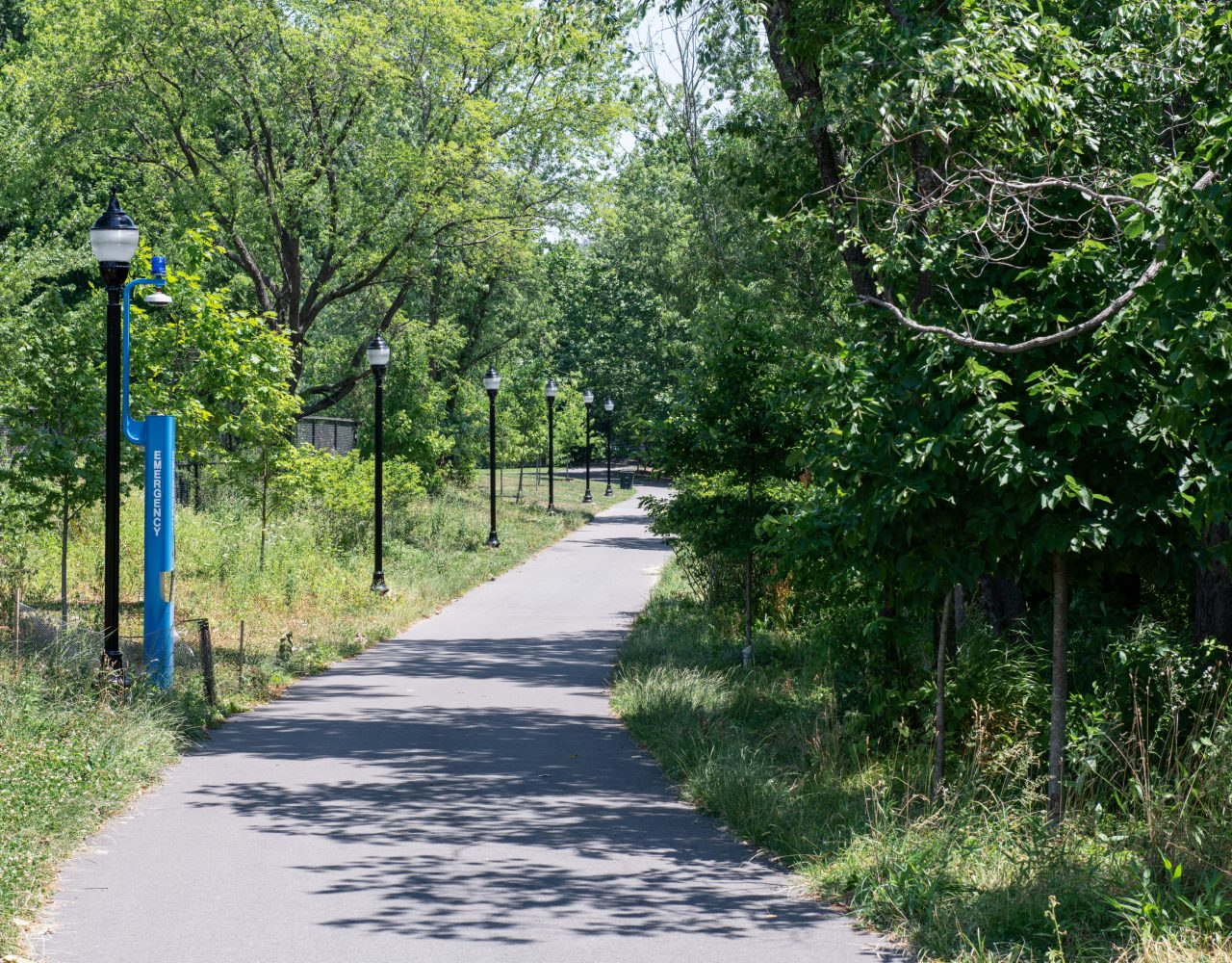 Mill River Greenway Gallery 3